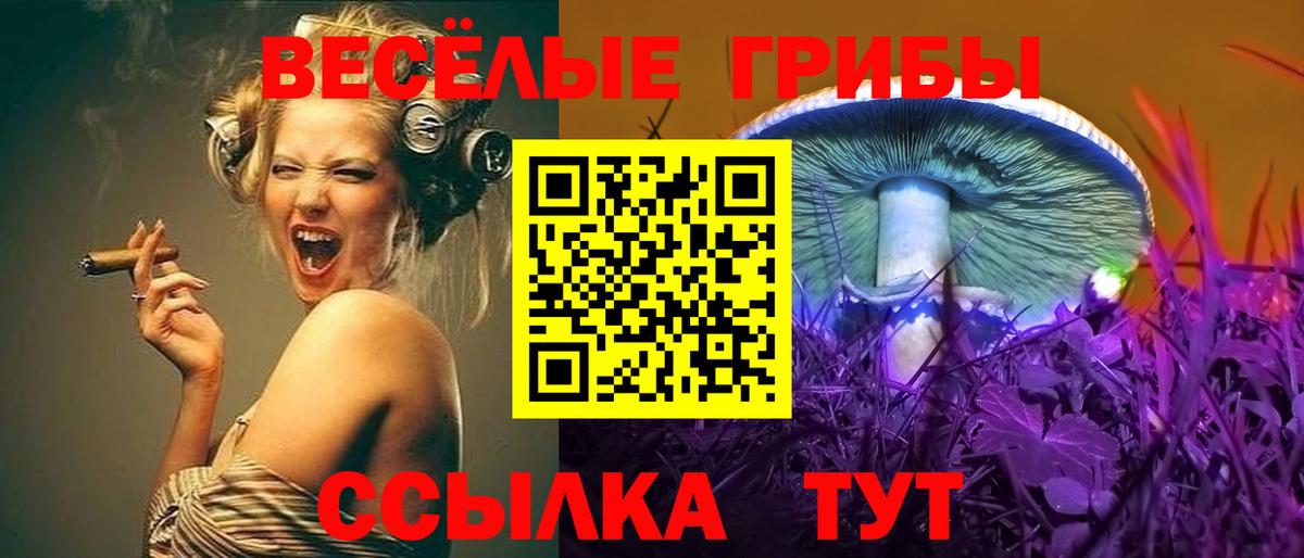 Псилоцибиновые грибы Psilocybine cubensis  Вход с VPN  Лениногорск 